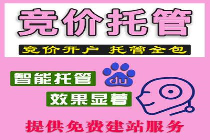 百度SEO推广公司经典之作：打造行业领先品牌